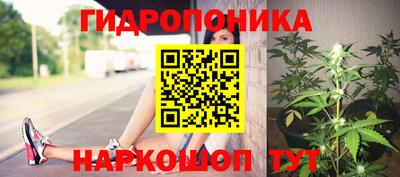 прущие грибы Пенза