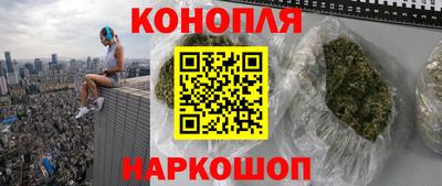 прущие грибы Пенза