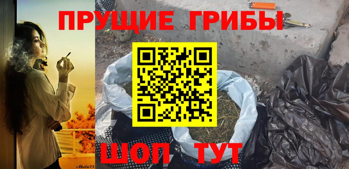 Псилоцибиновые грибы MAGIC MUSHROOMS Советск